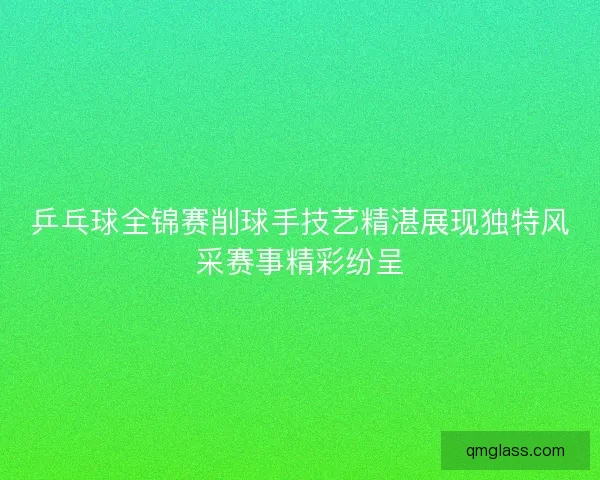 乒乓球全锦赛削球手技艺精湛展现独特风采赛事精彩纷呈