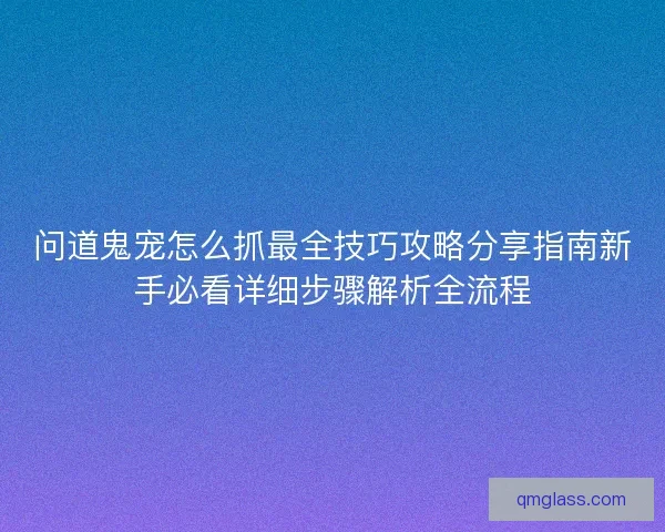 问道鬼宠怎么抓最全技巧攻略分享指南新手必看详细步骤解析全流程